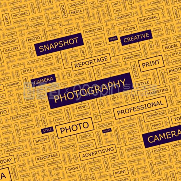 摄影 捕捉光影的艺术与科学