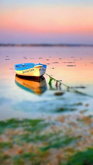 移轴摄影 以86视角捕捉独特世界