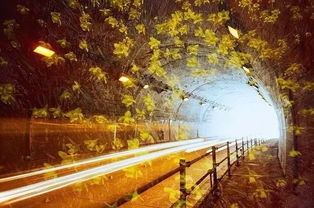 多重曝光摄影 玩转光影叠加的创意艺术与实用服务指南