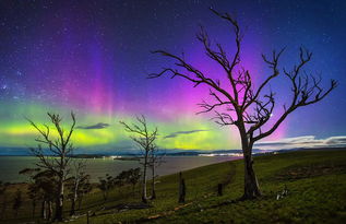 澳天文摄影大赛获奖作品出炉 瑰丽绚烂展现宇宙之美